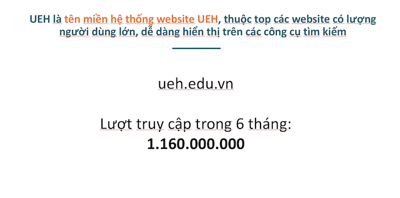 cá cược thể thao hul city